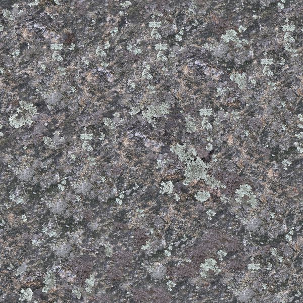 Aceite Esencial de Lavanda